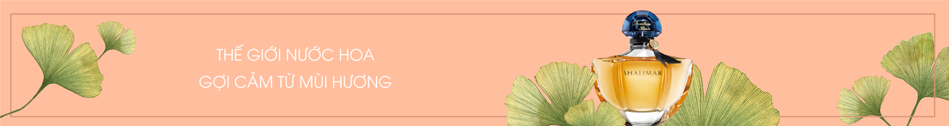 bannerdetail